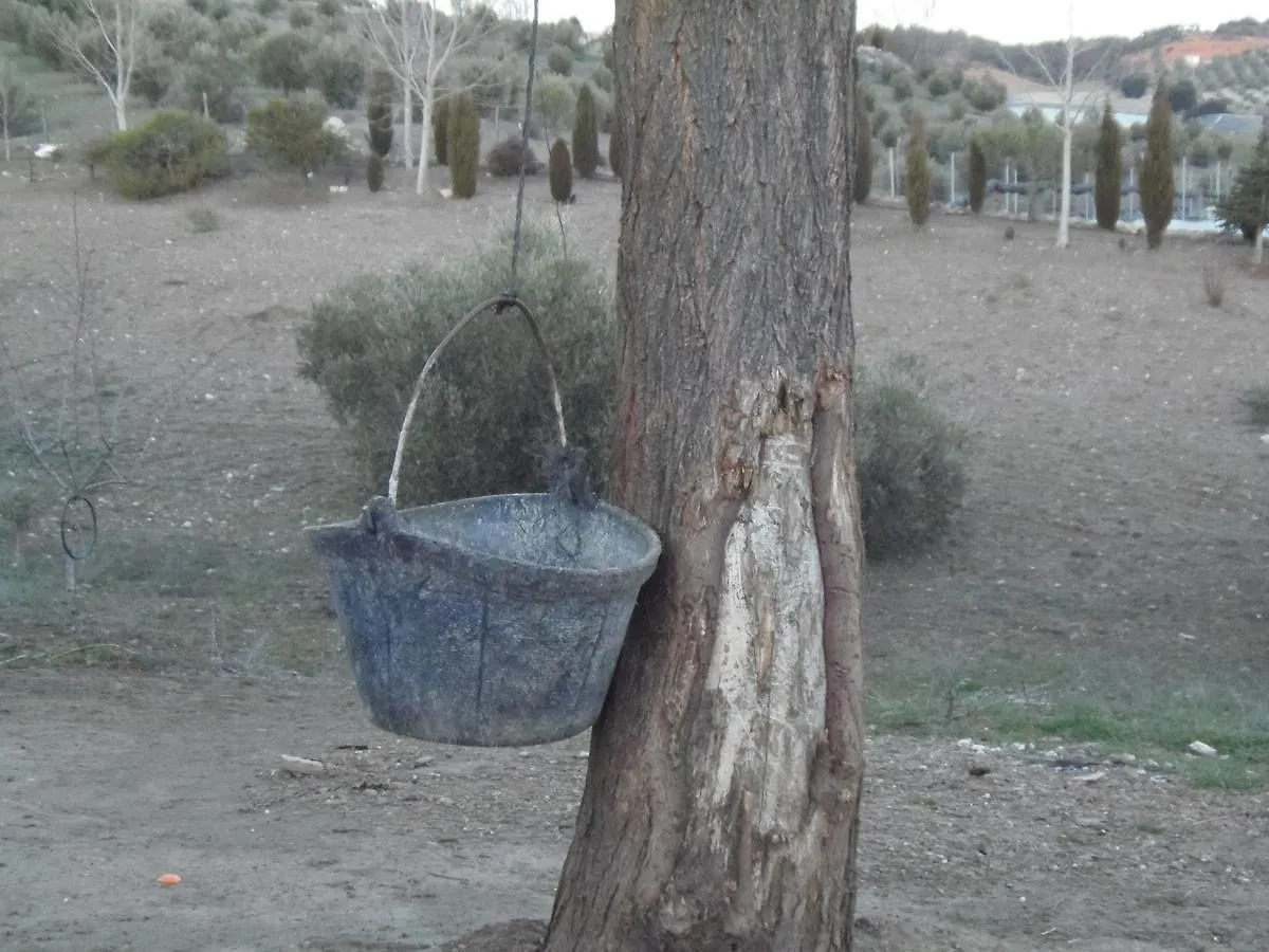 Country house Cortijo Moyano Guest House Alhama de Granada