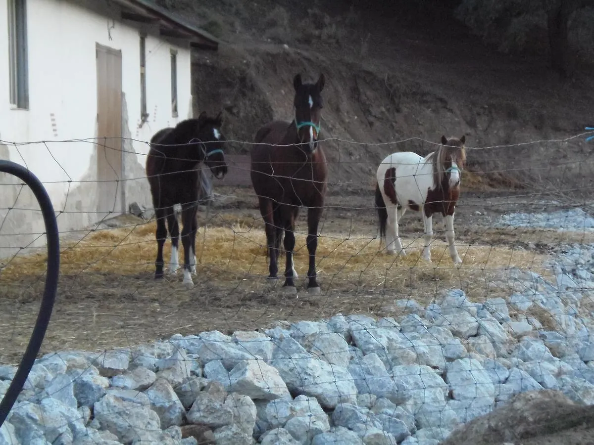 Cortijo Moyano Guest House Alhama de Granada Country house