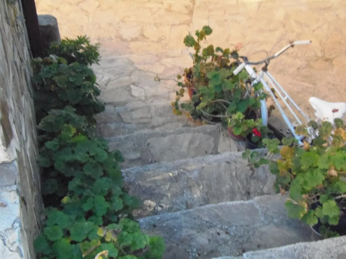 Cortijo Moyano Guest House Alhama de Granada Spain