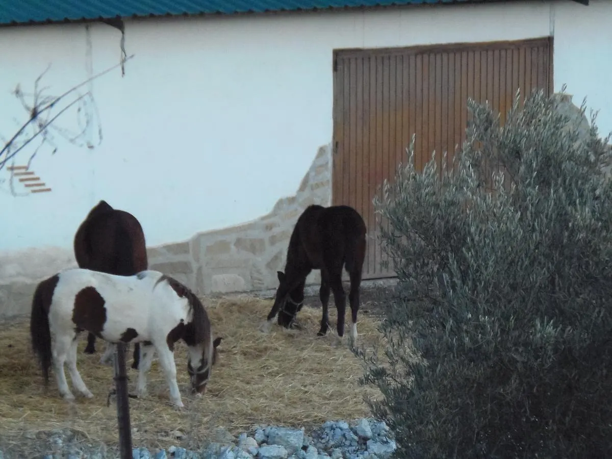 Gospodarstwo wiejskie Pensjonat Cortijo Moyano Alhama de Granada Hiszpania
